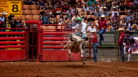 Fort Worth Rodeo 2012